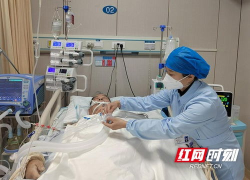 做守護患者生命最溫暖的那一束光——記岳陽市中心醫院護理部副主任劉婕妤與護理機構服務