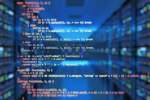 A Level計算機報考人數持續攀升，軟件開發熱潮涌動